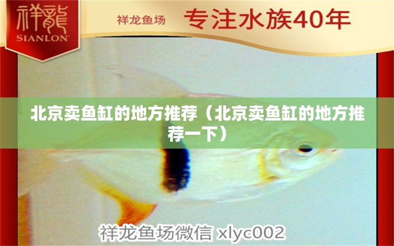 北京卖鱼缸的地方推荐（北京卖鱼缸的地方推荐一下）