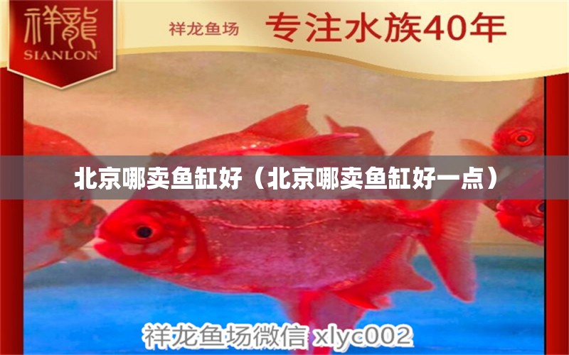 北京哪卖鱼缸好（北京哪卖鱼缸好一点）