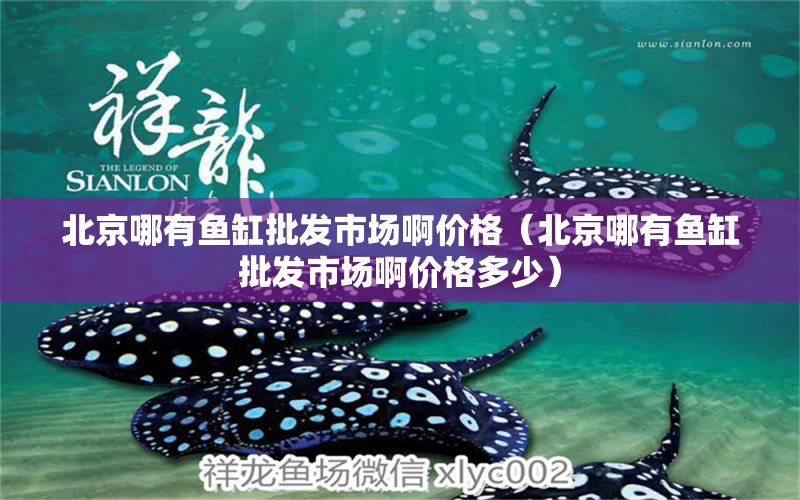 北京哪有鱼缸批发市场啊价格（北京哪有鱼缸批发市场啊价格多少） 观赏鱼市场（混养鱼）