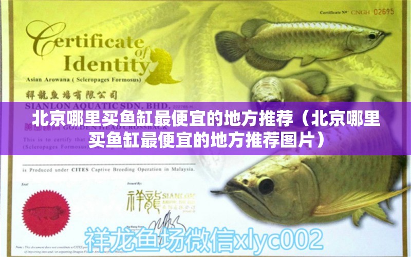 北京哪里买鱼缸最便宜的地方推荐（北京哪里买鱼缸最便宜的地方推荐图片）
