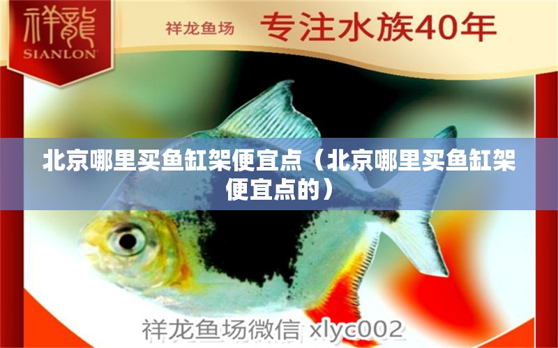 北京哪里买鱼缸架便宜点（北京哪里买鱼缸架便宜点的） 量子养鱼技术