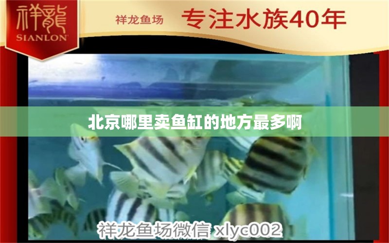 北京哪里卖鱼缸的地方最多啊