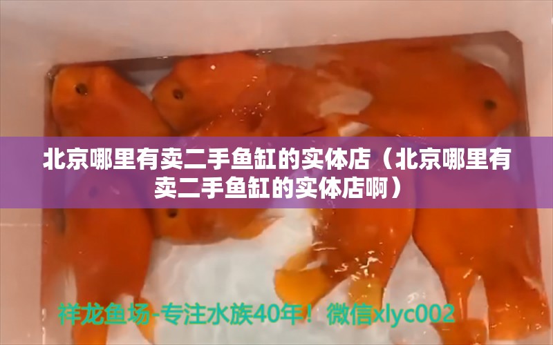 北京哪里有卖二手鱼缸的实体店（北京哪里有卖二手鱼缸的实体店啊） 祥龙水族医院