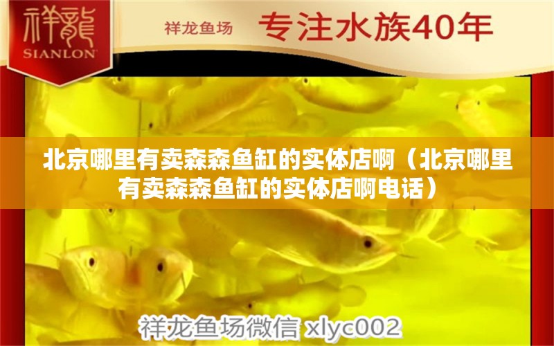 北京哪里有卖森森鱼缸的实体店啊（北京哪里有卖森森鱼缸的实体店啊电话）