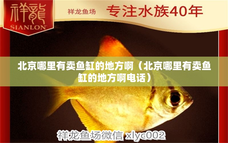 北京哪里有卖鱼缸的地方啊（北京哪里有卖鱼缸的地方啊电话）