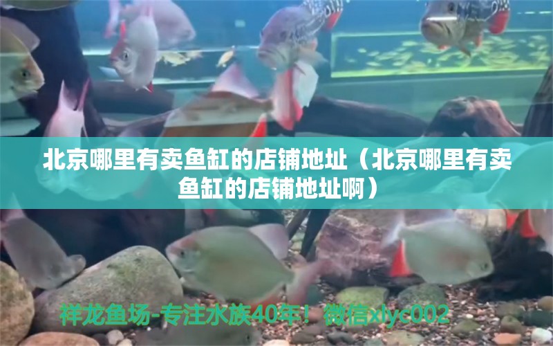 北京哪里有卖鱼缸的店铺地址（北京哪里有卖鱼缸的店铺地址啊）