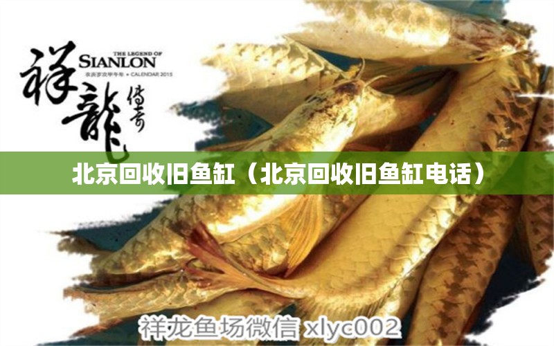 北京回收旧鱼缸（北京回收旧鱼缸电话） 祥龙鱼场