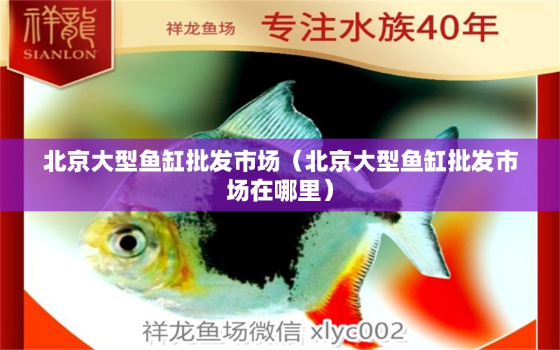 北京大型鱼缸批发市场（北京大型鱼缸批发市场在哪里） 其他品牌鱼缸