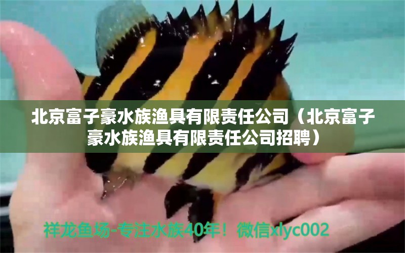 北京富子豪水族渔具有限责任公司（北京富子豪水族渔具有限责任公司招聘）