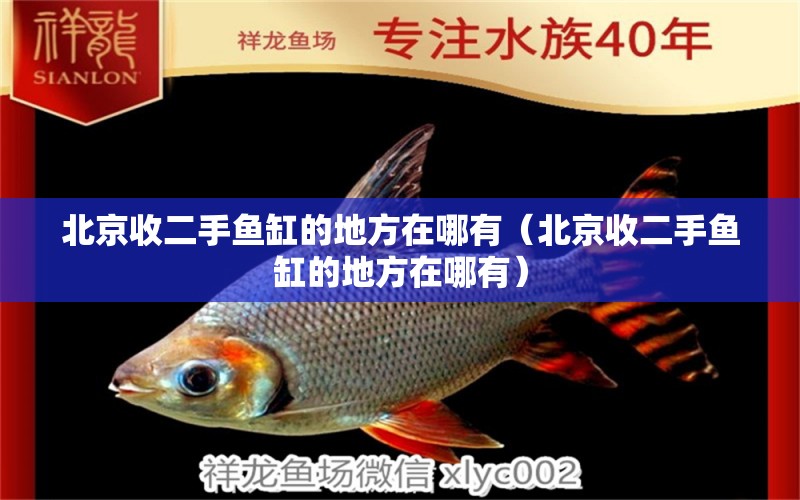 北京收二手鱼缸的地方在哪有（北京收二手鱼缸的地方在哪有） 银古鱼苗