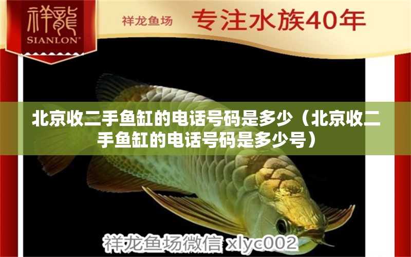 北京收二手鱼缸的电话号码是多少（北京收二手鱼缸的电话号码是多少号）