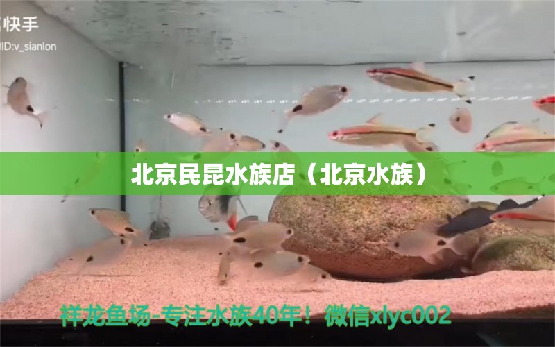 北京民昆水族店（北京水族）