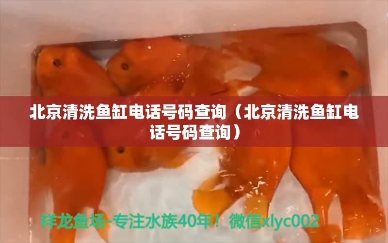 北京清洗鱼缸电话号码查询（北京清洗鱼缸电话号码查询）
