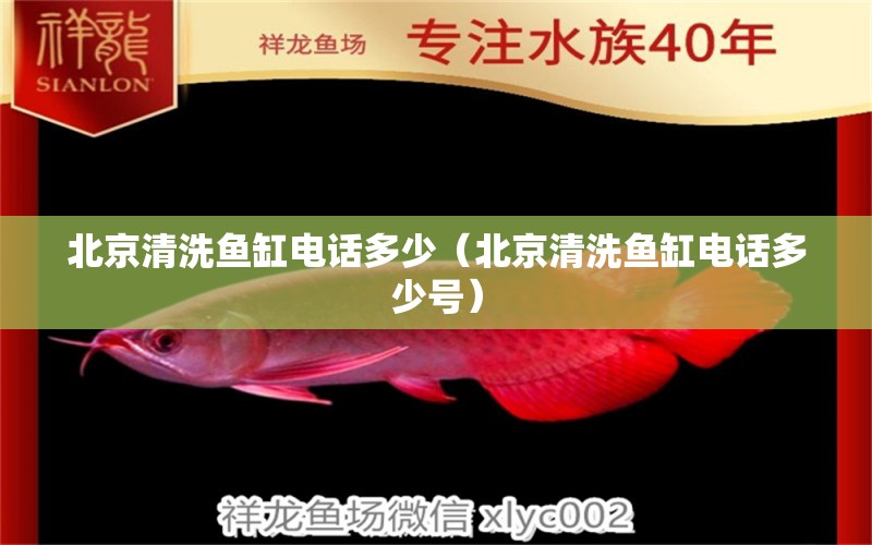 北京清洗鱼缸电话多少（北京清洗鱼缸电话多少号） 观赏鱼市场（混养鱼）
