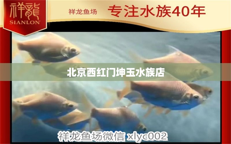北京西红门坤玉水族店 全国水族馆企业名录
