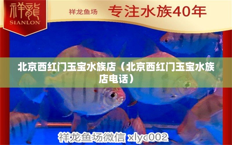 北京西红门玉宝水族店（北京西红门玉宝水族店电话） 全国水族馆企业名录
