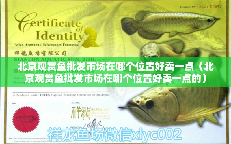 北京观赏鱼批发市场在哪个位置好卖一点（北京观赏鱼批发市场在哪个位置好卖一点的） 观赏鱼批发