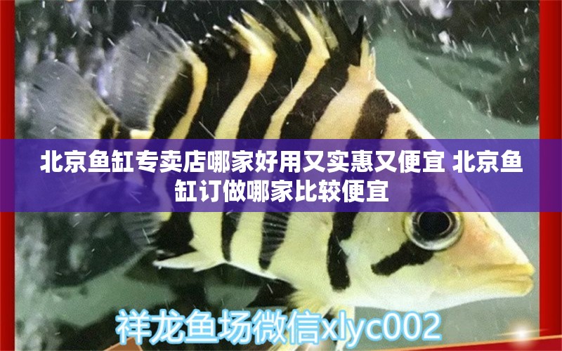 北京鱼缸专卖店哪家好用又实惠又便宜 北京鱼缸订做哪家比较便宜