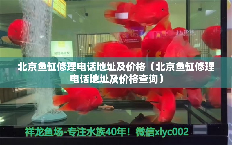 北京鱼缸修理电话地址及价格（北京鱼缸修理电话地址及价格查询） 祥龙水族医院