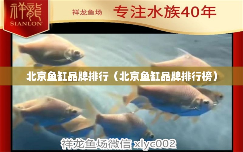 北京鱼缸品牌排行（北京鱼缸品牌排行榜）