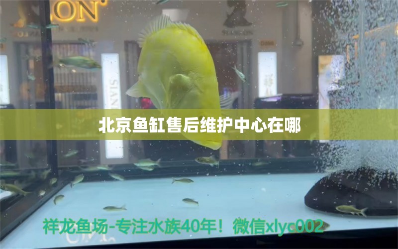 北京鱼缸售后维护中心在哪