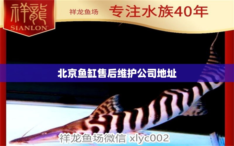 北京鱼缸售后维护公司地址 其他品牌鱼缸