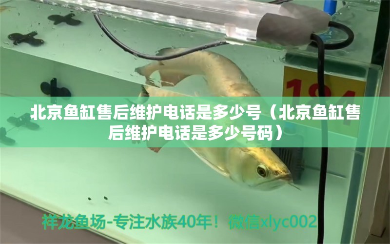 北京鱼缸售后维护电话是多少号（北京鱼缸售后维护电话是多少号码） 其他品牌鱼缸