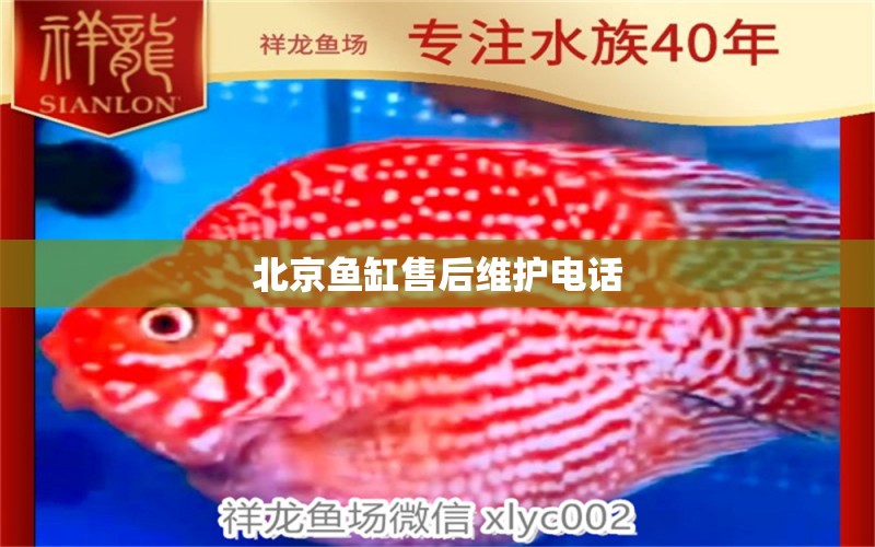 北京鱼缸售后维护电话