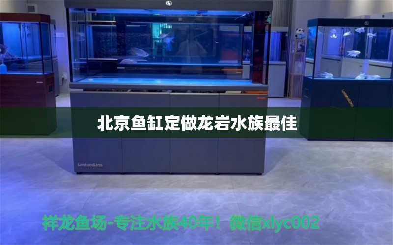 北京鱼缸定做龙岩水族最佳 其他品牌鱼缸