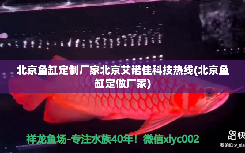 北京鱼缸定制厂家北京艾诺佳科技热线(北京鱼缸定做厂家) 速倍妥鱼粮鱼药