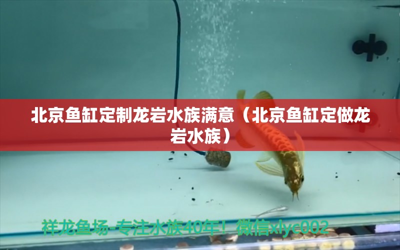 北京鱼缸定制龙岩水族满意（北京鱼缸定做龙岩水族） 观赏虾蟹等饲料