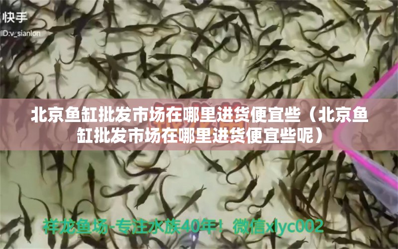 北京鱼缸批发市场在哪里进货便宜些（北京鱼缸批发市场在哪里进货便宜些呢）