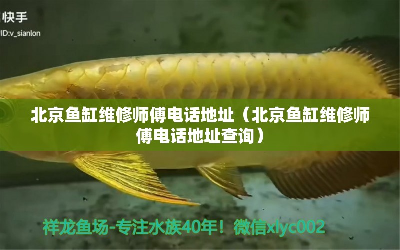 北京鱼缸维修师傅电话地址（北京鱼缸维修师傅电话地址查询） 其他品牌鱼缸