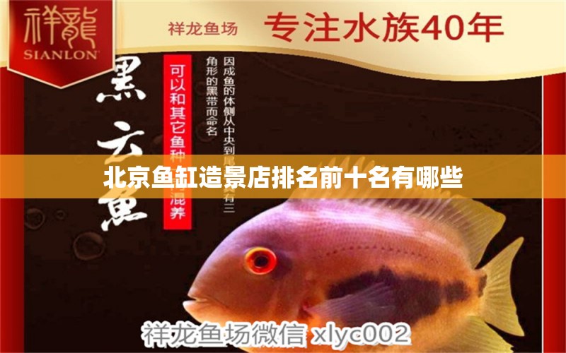 北京鱼缸造景店排名前十名有哪些