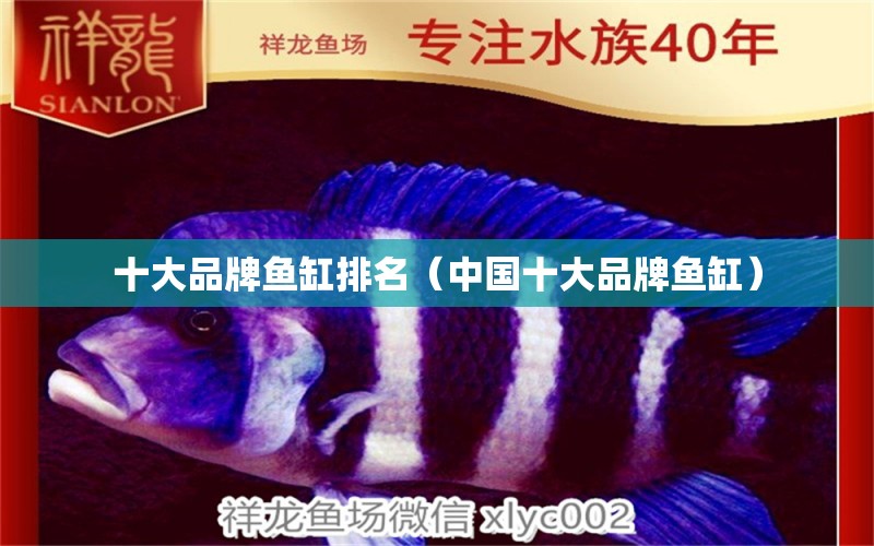 十大品牌鱼缸排名（中国十大品牌鱼缸） iwish爱唯希品牌鱼缸