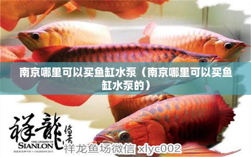 南京哪里可以买鱼缸水泵（南京哪里可以买鱼缸水泵的） 鱼缸水泵