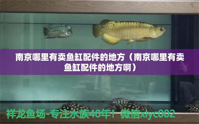 南京哪里有卖鱼缸配件的地方（南京哪里有卖鱼缸配件的地方啊）