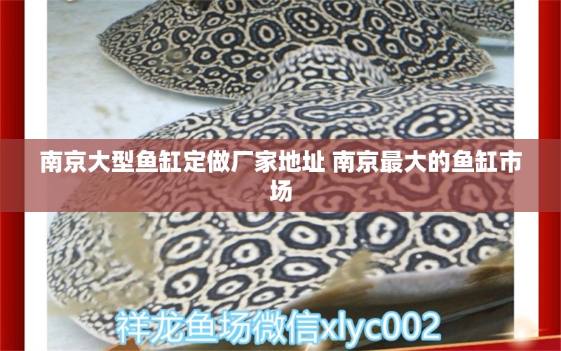 南京大型鱼缸定做厂家地址 南京最大的鱼缸市场