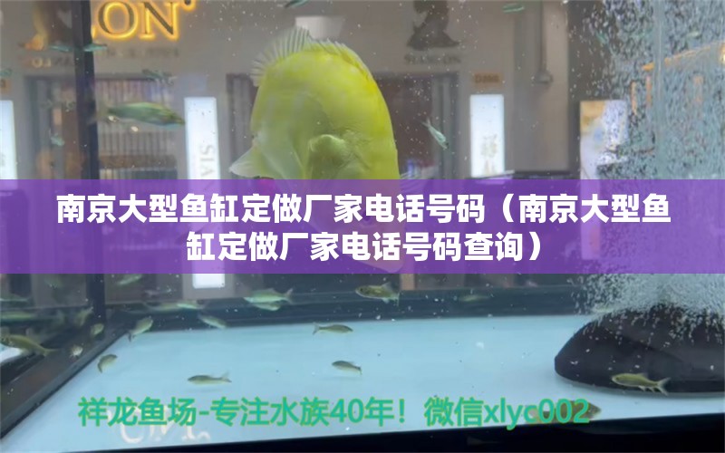 南京大型鱼缸定做厂家电话号码（南京大型鱼缸定做厂家电话号码查询） 祥龙鱼场