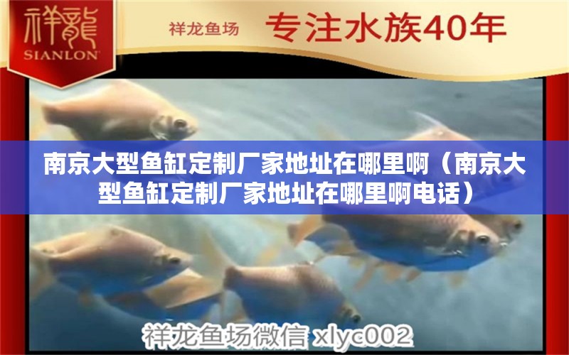 南京大型鱼缸定制厂家地址在哪里啊（南京大型鱼缸定制厂家地址在哪里啊电话） 祥龙水族医院