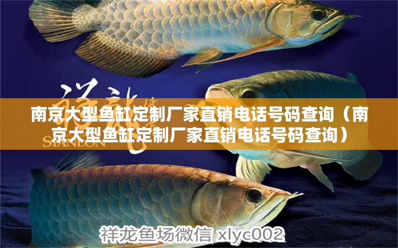 南京大型鱼缸定制厂家直销电话号码查询（南京大型鱼缸定制厂家直销电话号码查询） 观赏鱼市场（混养鱼）