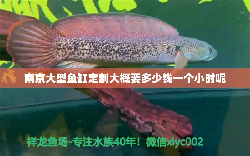 南京大型鱼缸定制大概要多少钱一个小时呢
