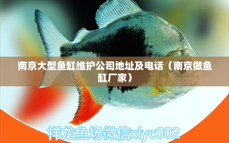 南京大型鱼缸维护公司地址及电话（南京做鱼缸厂家）