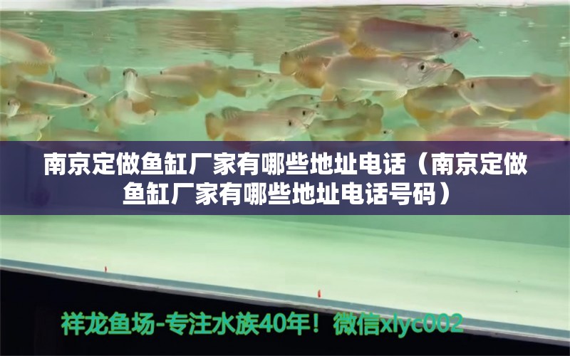 南京定做鱼缸厂家有哪些地址电话（南京定做鱼缸厂家有哪些地址电话号码）