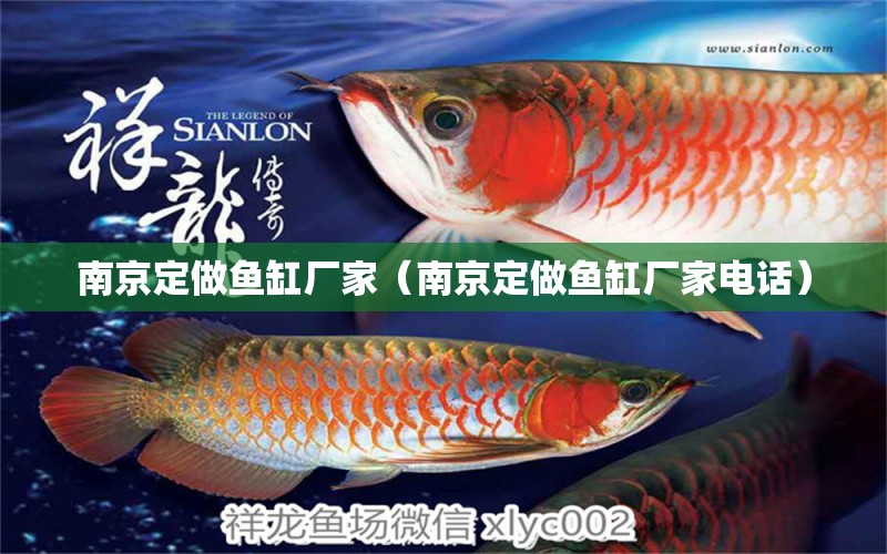 南京定做鱼缸厂家（南京定做鱼缸厂家电话） 其他品牌鱼缸