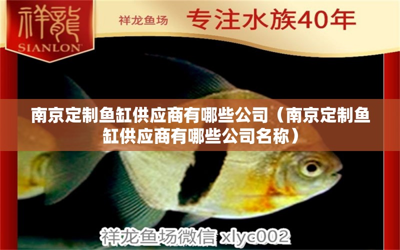 南京定制鱼缸供应商有哪些公司（南京定制鱼缸供应商有哪些公司名称）