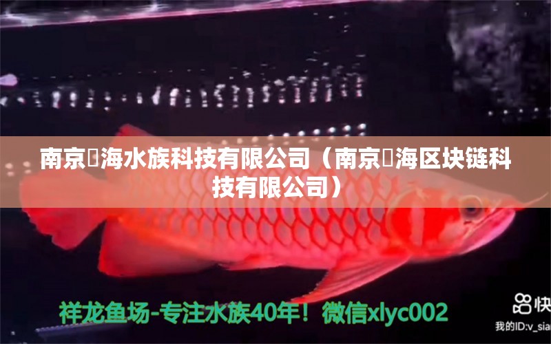 南京澔海水族科技有限公司（南京沄海区块链科技有限公司） 全国水族馆企业名录