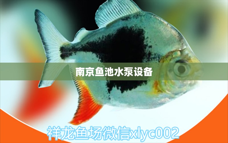 南京鱼池水泵设备 广州水族器材滤材批发市场