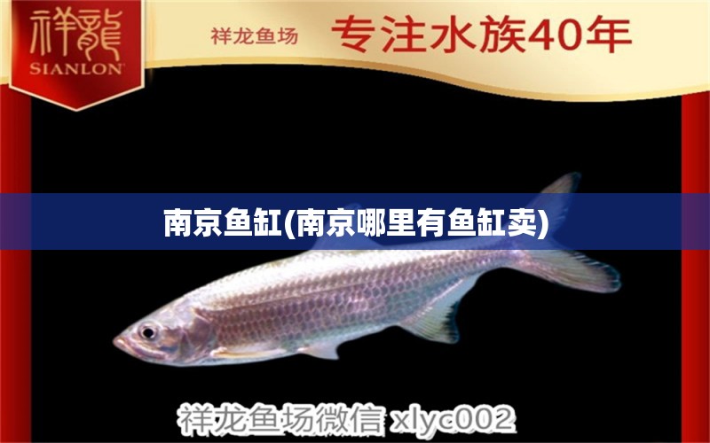 南京鱼缸(南京哪里有鱼缸卖) 鱼缸