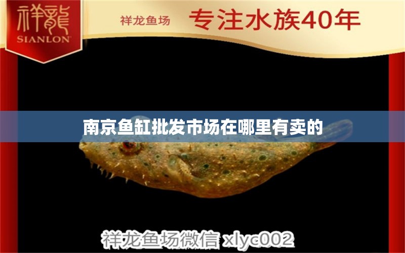 南京鱼缸批发市场在哪里有卖的 祥龙鱼场